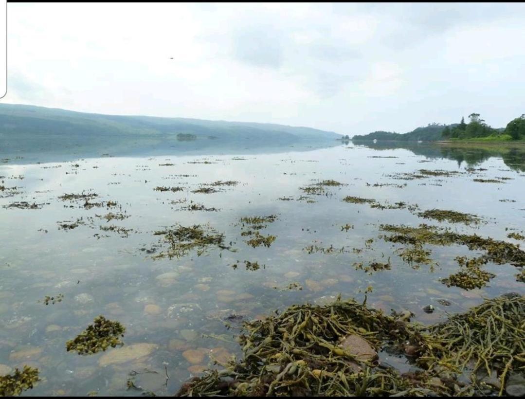 Quirky Lochside Home Inveraray Ngoại thất bức ảnh
